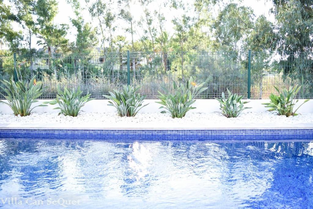 Villa Can Sequet Thị trấn Thị trấn Muro Ngoại thất bức ảnh